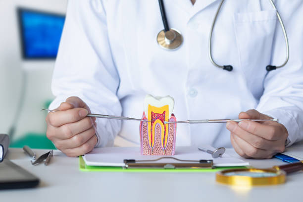 Best Emergency Root Canal Treatment in Laurel, MT
